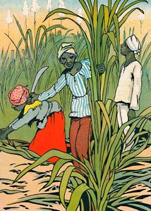 Au travail parmi les cannes à sucre - Charles Robinson