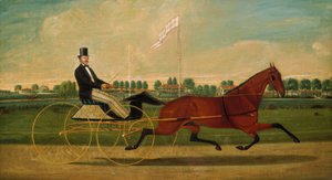 Le trotteur