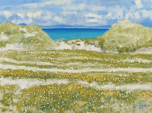 Aperçu de Harris, 2014 (huile sur toile) - Charles Simpson