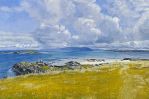 Côte nord, Iona, 2015 (huile sur toile)