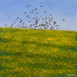 Étourneaux et boutons d