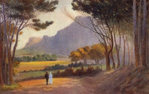 Péninsule du Cap, Afrique du Sud : Alphen