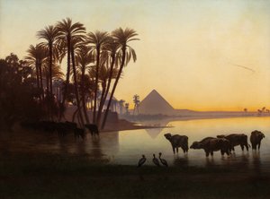Le long du Nil à Gyzeh
