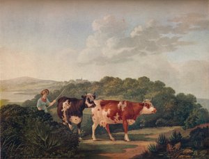 Paysage anglais, avec bovins Shorthorn, fin 18e-début 19e siècle, 1930