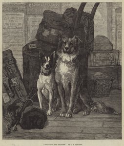 Étrangers et pèlerins