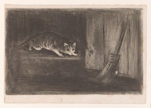 Chat et souris