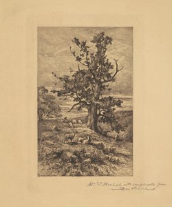 Paysage avec des moutons