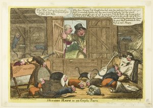 Des rats affamés dans une grange vide