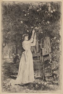 Sans titre (Femme cueillant des fleurs)