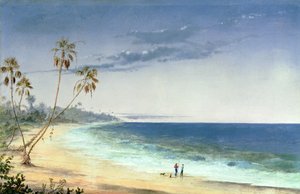 Paysage cubain, 1866 - Charles de Wolfe Brownell