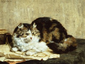 Un chat tigré