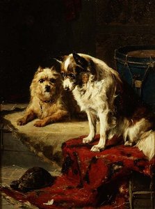 Chiens et une tortue