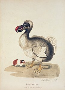 Étude d
