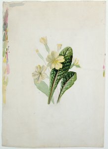 Étude d