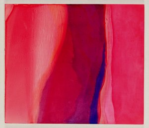 Sari Fish, 2000 - Charlotte Johnstone
