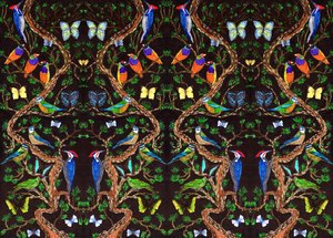 Oiseaux et papillons, 2019 - Charlotte Orr