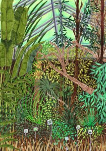 Jardin botanique, 2017