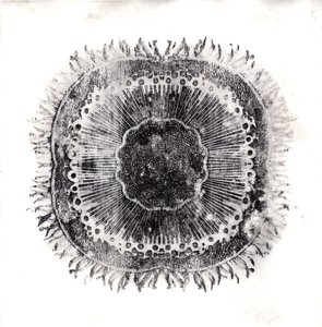 Cellules Végétales