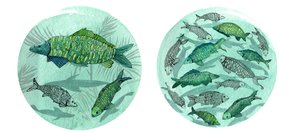 Petit poisson grand étang, 2018