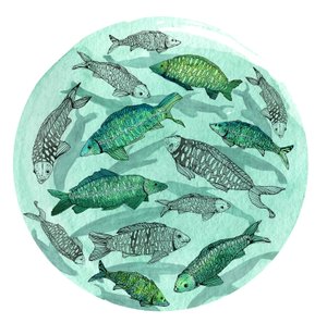Petit poisson grand étang, 2018