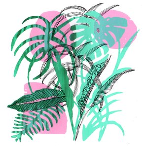 Plantes tropicales, 2018 - Charlotte Orr