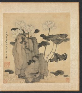 Lotus et rochers - Chen Hongshou