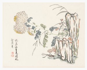 Chrysanthème, Le Jardin des graines de moutarde - Cheng An (after)