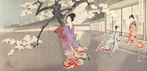 Album de femmes du château de Chiyoda, 1895