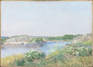 Le Petit Étang, Appledore