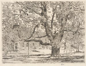 Le grand marronnier, Easthampton - Childe Hassam