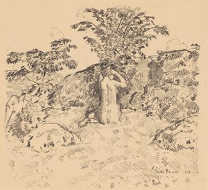 Le cerisier sauvage