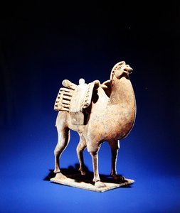 Chameau, milieu à fin 6e siècle, dynastie Wei du Nord (386-534)-Qi du Nord (550-77) - Chinese School