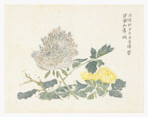 Jardin de graines de moutarde - Chinese School