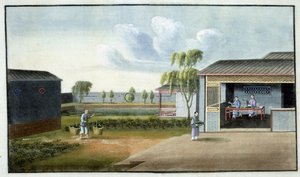 Tri du thé - Chinese School