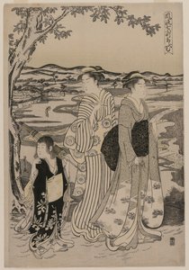 Omu le perroquet (de la série Sept épisodes élégants de la vie de la poétesse Ono no Komachi) - Chobunsai Eishi