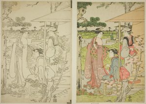 Vue des cerisiers en fleurs depuis une maison de thé sur la colline Asuka - Chobunsai Eishi
