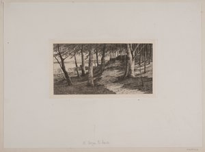 Fra Maribo