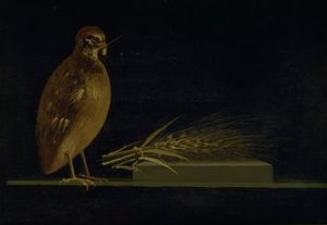 Une caille mangeant un épi de maïs - Christen Købke