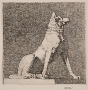 Un chien assis d