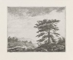 Arbre dans un paysage de bruyère