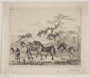 Chevaux de haras - Christian David Gebauer
