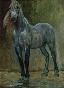 Ballade - Christian Eriksen Skredsvig