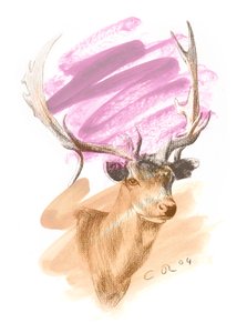 Tête de cerf - Cerise Sienne, 2004 - Christian Furr