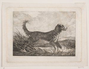 Un chien