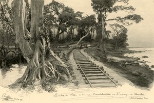 Chemin de fer, Weleri, Java, 1898