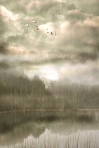  - Christina Sillen