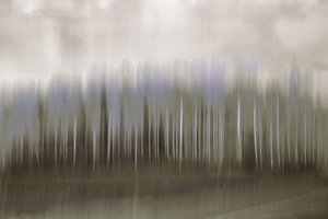 Reflet flou dans la forêt - Christina Sillen