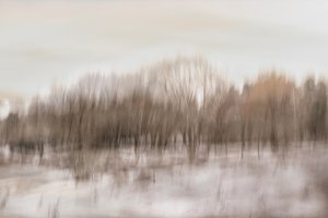 Reflet flou dans la forêt