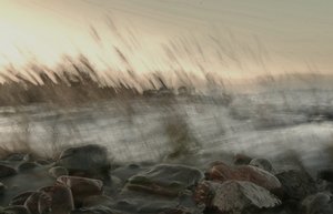 Une vague côtière envoûtante