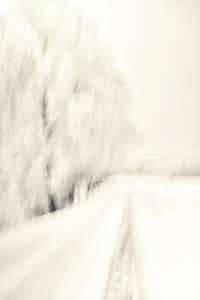 Un sentier hivernal de rêve - Christina Sillen